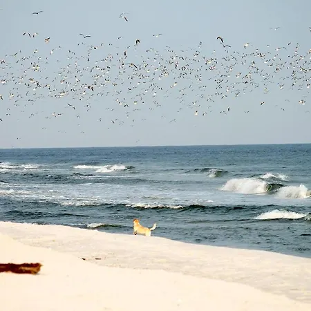 Lejlighed White Pearl 3.06 Timmendorfer Strand