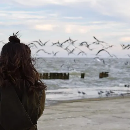 Lejlighed White Pearl 3.06 Timmendorfer Strand